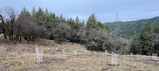 Ecosystem Management Solutions