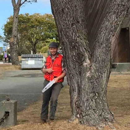 Get Clear Answers With Specialized Arborist Services In Eureka, Ca