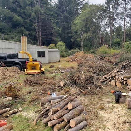 Open Up The Property With Land Clearing In Eureka, Ca