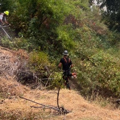 Support Healthier Land With Ecosystem Management Solutions In Eureka, Ca