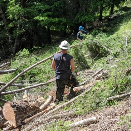 Hauling And Disposal