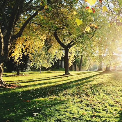 Get A Clear Action Plan Through Consultations In Eureka, Ca