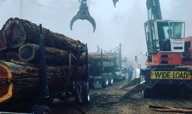 Timber Harvesting