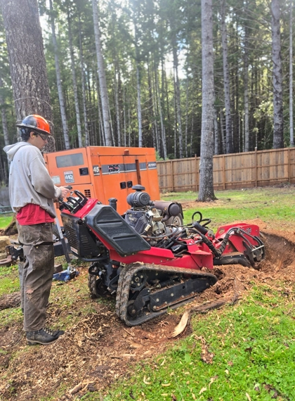 03 Stump Grinding