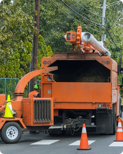 Debris Removal Service in Bakersfield