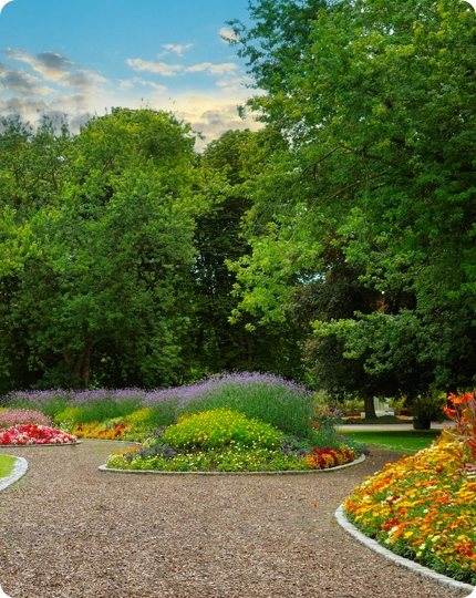 Our Streamlined Landscaping Process